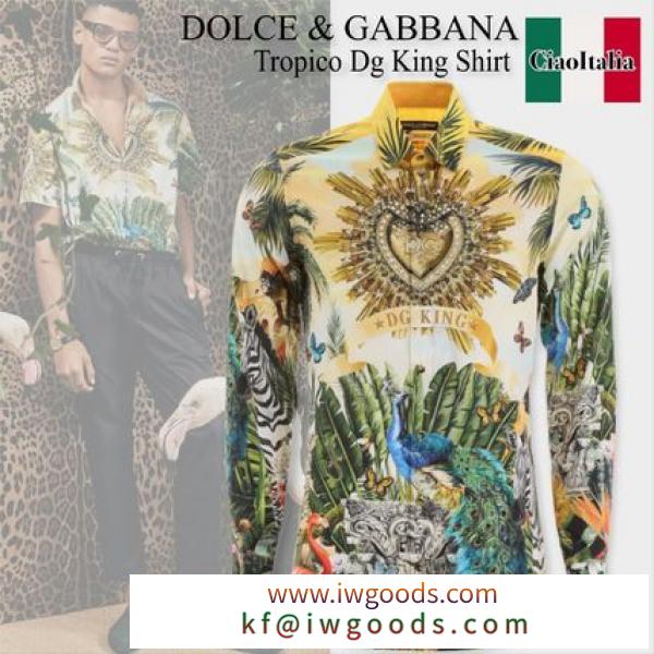 Dolce Gabbana ブランドコピー商品 tropico dg king shirt iwgoods.com:nav8i2
