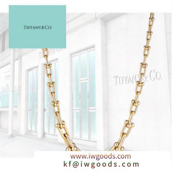 【NY本店5番街買付♪】スーパーコピー Tiffany Graduated Link Necklace iwgoods.com:mx6snf