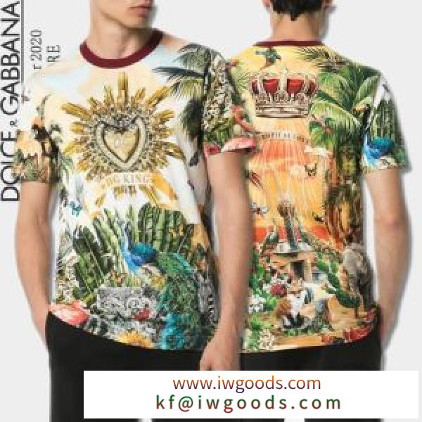 大人気のブランドの新作 半袖Tシャツ 普段のファッション ドルチェ＆ガッバーナ Dolce&Gabbana iwgoods.com 1LPTva