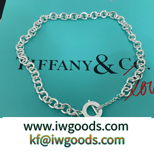Tiffany&Coティファニーネックレススーパーコピー安い最高級高品質2022定番アイテムシルバー色 iwgoods.com SzSXLz-3