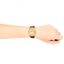 ガガミラノ ブランド コピー 腕時計 メンズ ブラウン 509105-N iwgoo...