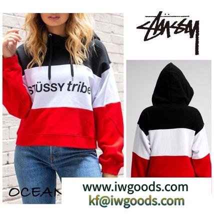 【STUSSY ブランド 偽物 通販】Chase Hooded Sweatshirt 3色 ブロックカラーフーディ iwgoods.com:33cu05-3